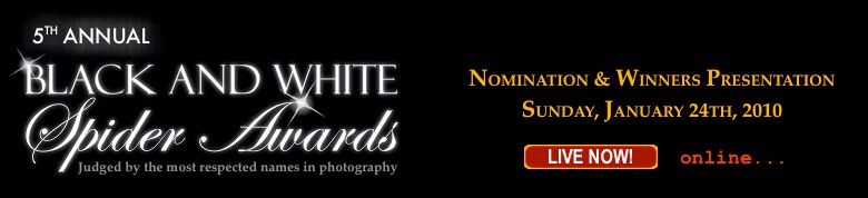 The International 5th Annual Black&White Spired Awards competition, awards, kasia kalua krynska, winner, still life