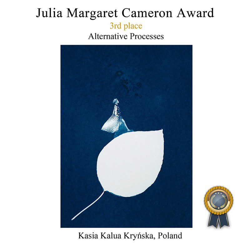 krynska julia margaret cameron award