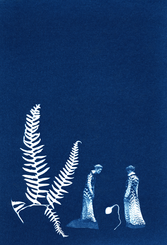 Cyanotype Tutorial — Blue Ridge Botanic